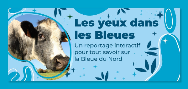 les yeux dans les bleues